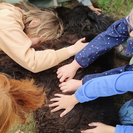 zdjecie_fundacja_rogowo_zooterapia